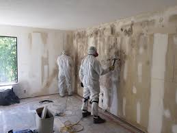 Best Mold Remediation for Vacation Homes  in USA